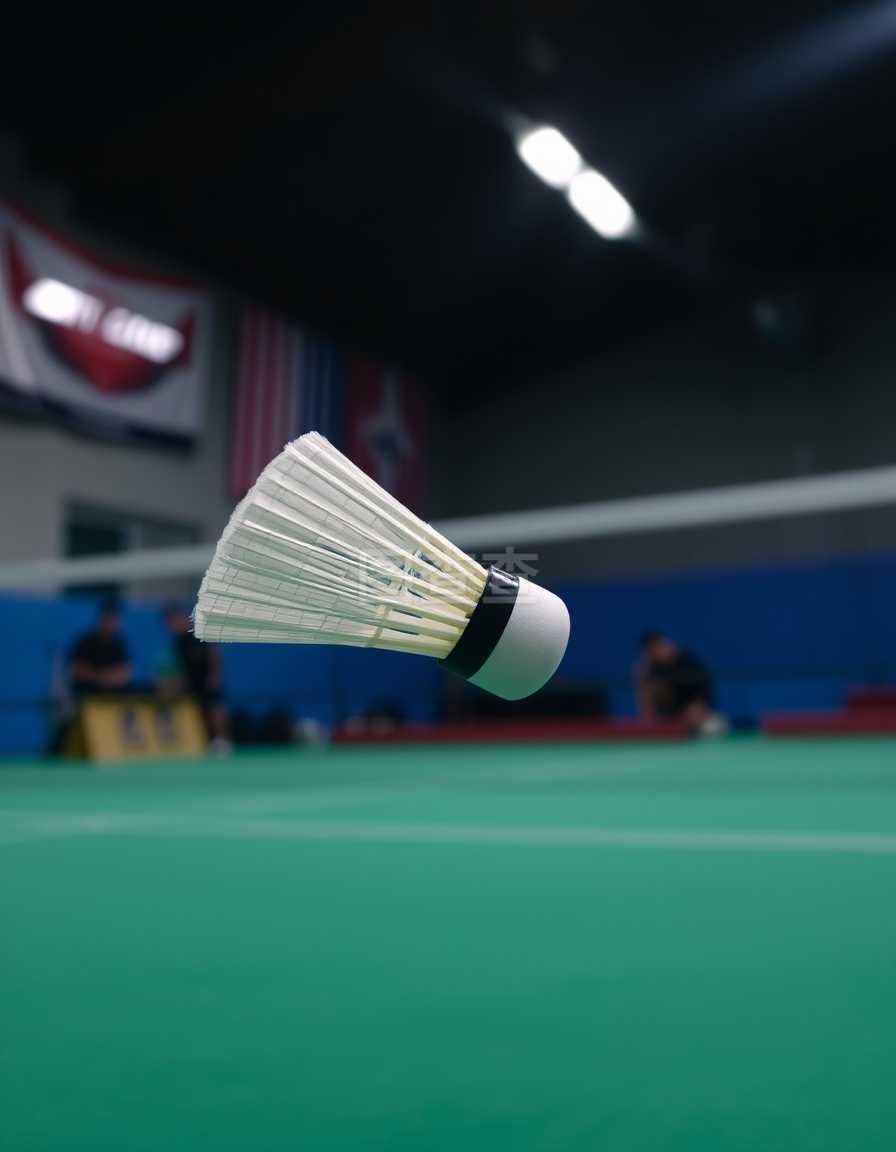 不仅展现了 不仅展现了